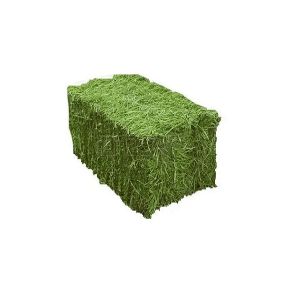 Wholesales alfalfa hay for chickens' grass cubes for horses Natural Cattle Alfalfa Hay Animal Feed for sale / Cheap Top Quality