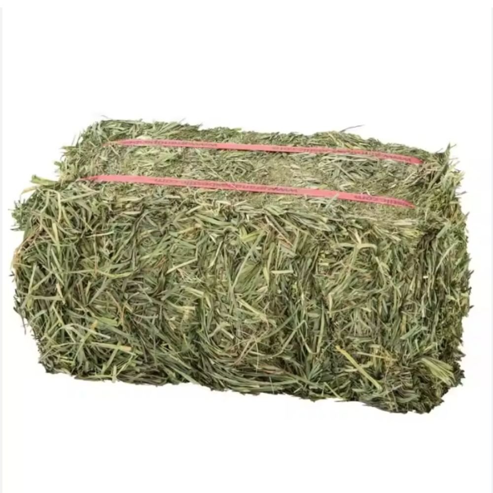 Wholesales alfalfa hay for chickens' grass cubes for horses Natural Cattle Alfalfa Hay Animal Feed for sale / Cheap Top Quality