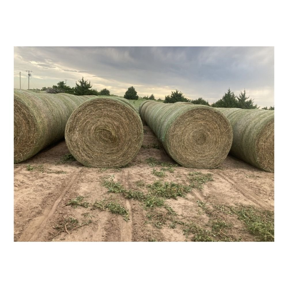 Wholesales alfalfa hay for chickens' grass cubes for horses Natural Cattle Alfalfa Hay Animal Feed for sale / Cheap Top Quality