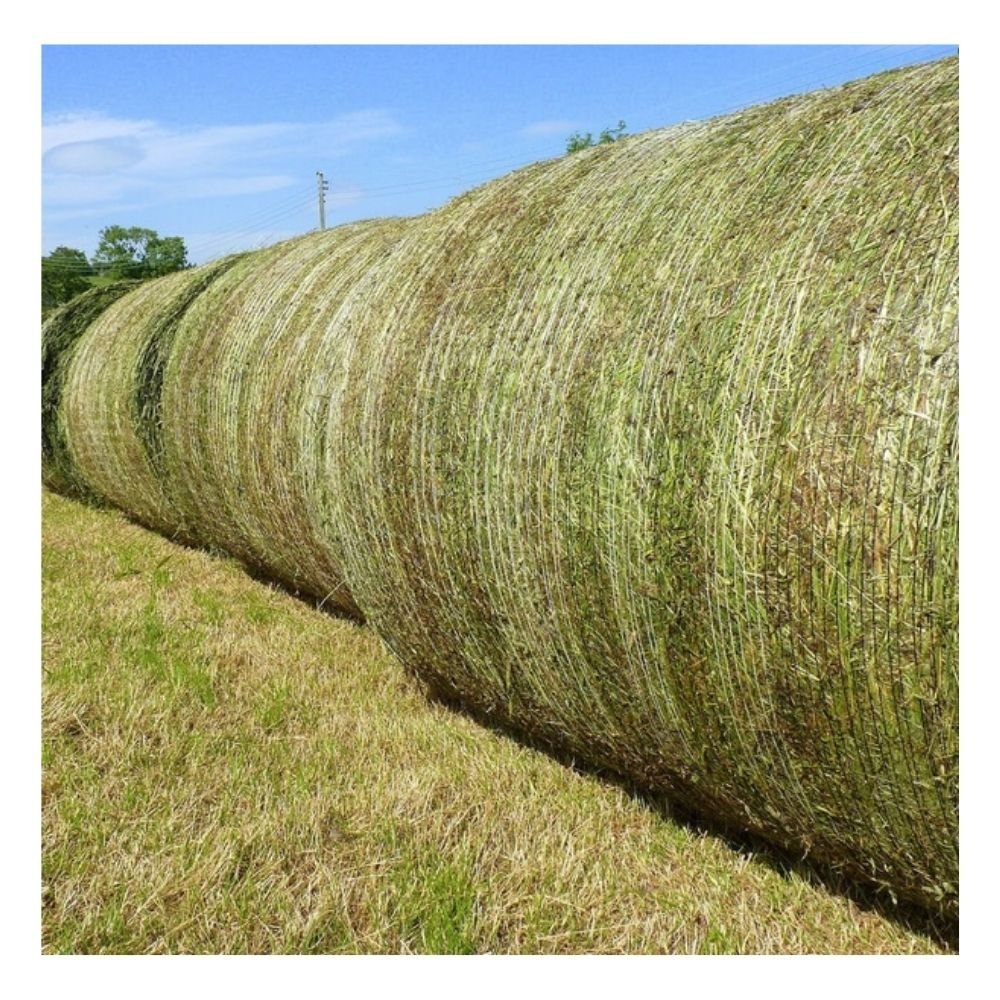 Wholesales alfalfa hay for chickens' grass cubes for horses Natural Cattle Alfalfa Hay Animal Feed for sale / Cheap Top Quality