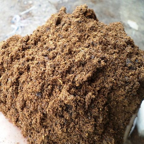 palm kernel cake for animal feed HIGH QUALITY