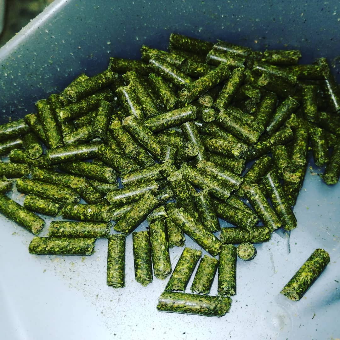 Buy Alfalfa hay pellets animal feed for cattle / Alfalfa Hay pellets for Animal Feedings at cheap price