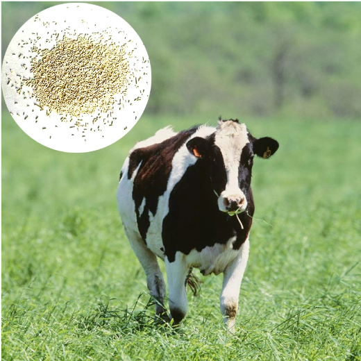 Poultry And Livestock Use Mixed Feed Yeast Powder Animal Feed Additive yesat
