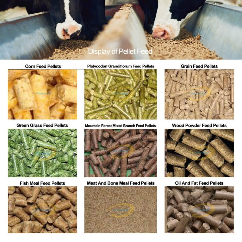 Animal food pelletizer 1000-1500kg/h poultry feed processing machines granulator pelletizer machine for animal feeds