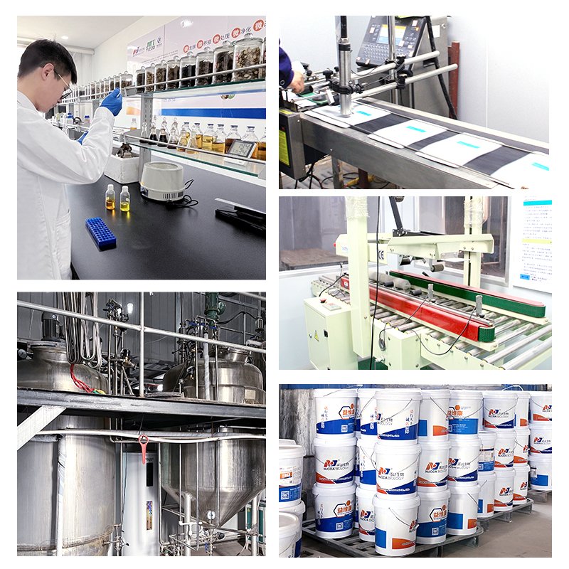 Animal vitamin and mineral supplements for animals multi vitamin powder egg booster poultry feed additives