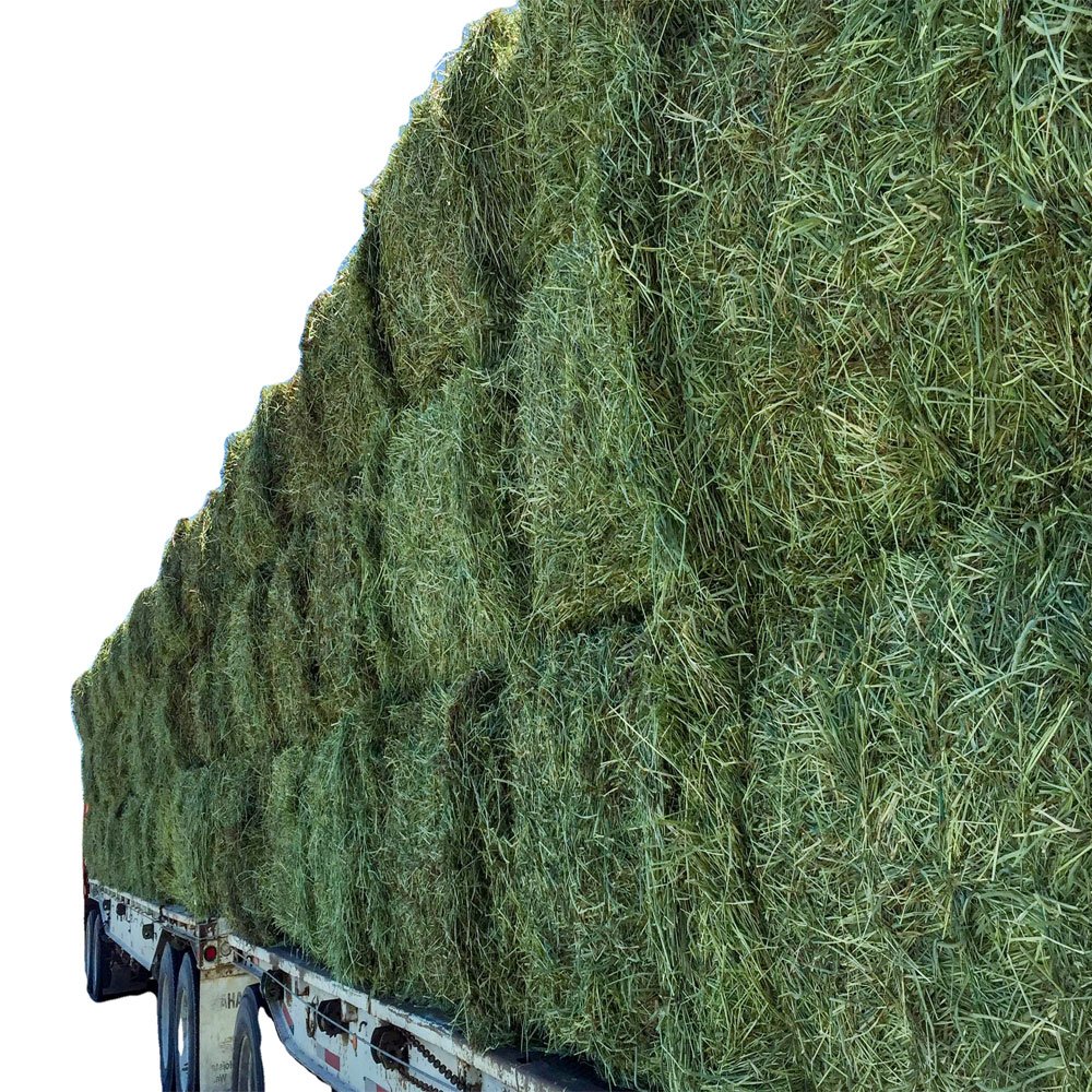 Manufacturer's Wholesale Timothy Hay and Alfalfa Hay Pellets Animal Feed