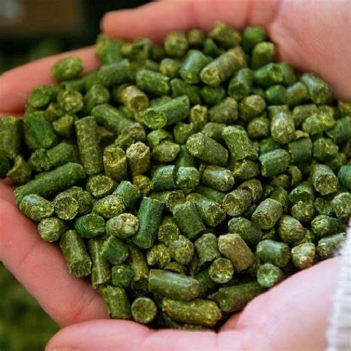 Buy quality Alfalfa Pellet Hay Top grade Alfalfa Pellet Hay Alfalfa Pellet for Animal Feed/Cattle Feed Additives good price