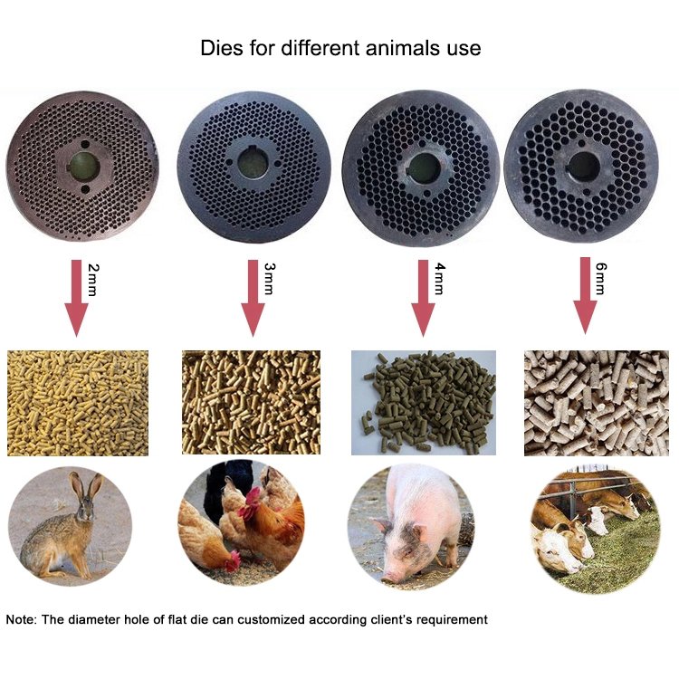 China Good Selling animal food feed pellet making machine easy to operate pelleting machine animal feed China