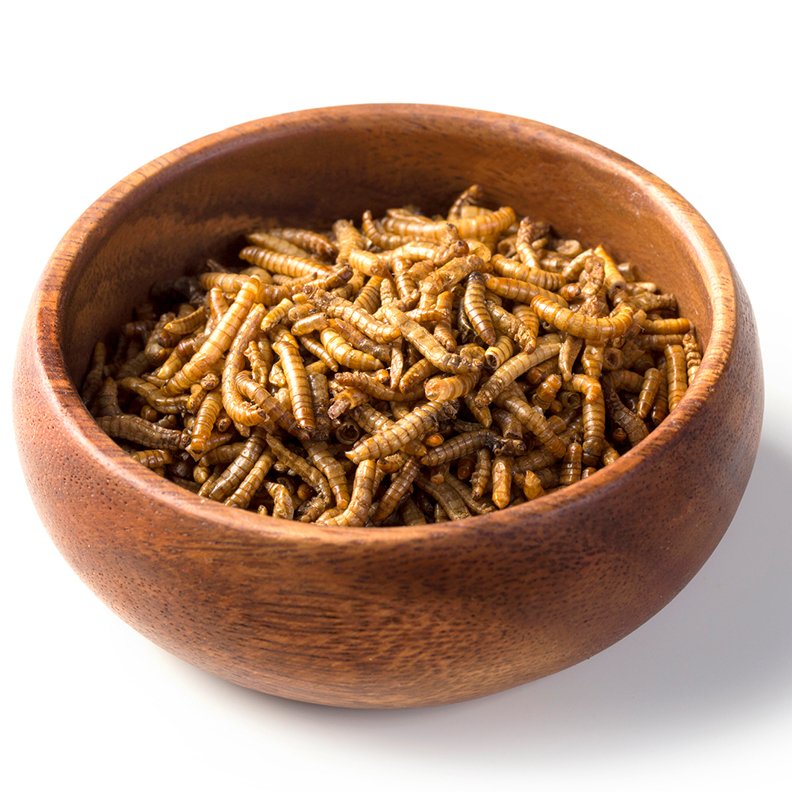 Factory Wholesales Dried black fly larvae dried BSF larvae Animal Feed animal poultry feed organic food for pets