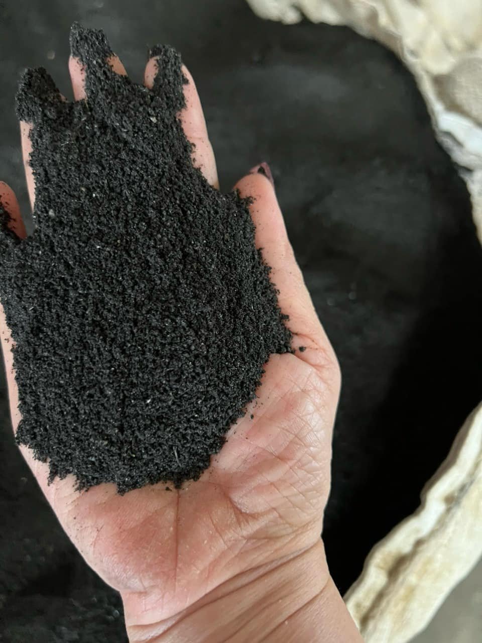 High quality squid liver powder, nutritious for animal feed, affordable price"