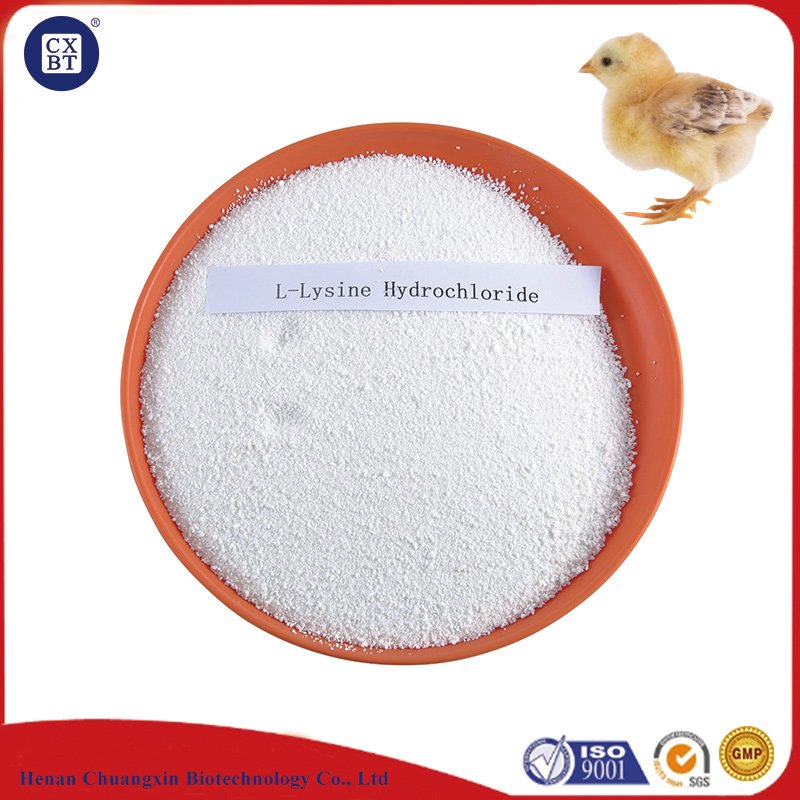 White L-Lysine Hydrochloride Lysine Hcl Animal Feed L-Lysine 98.5%