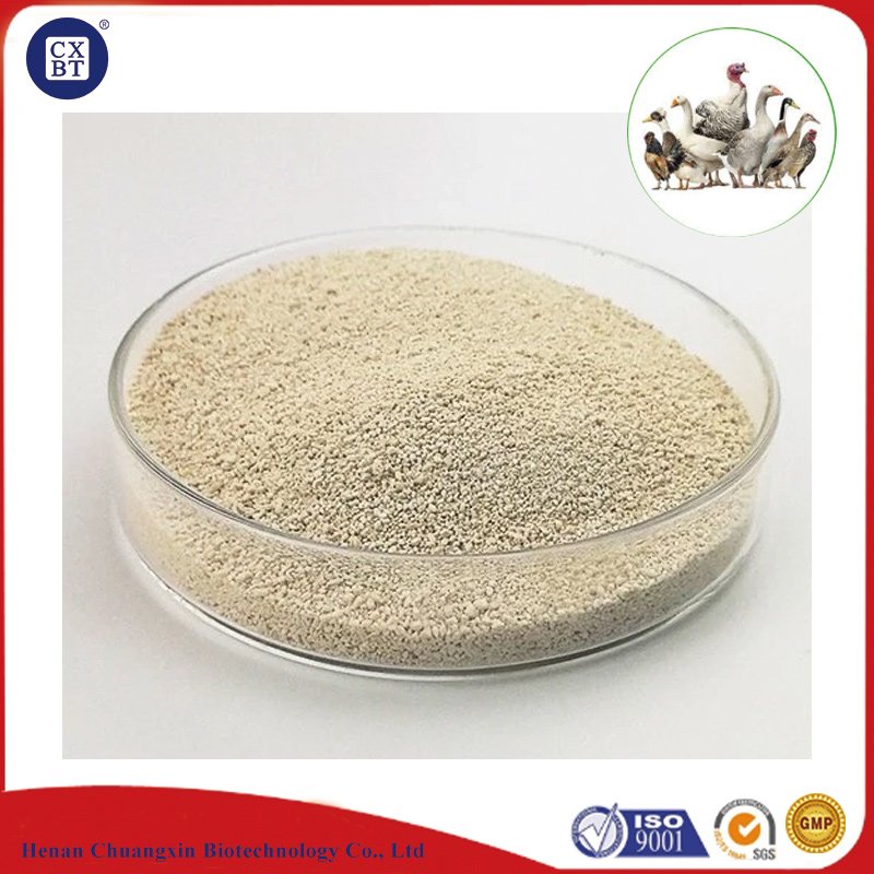 White L-Lysine Hydrochloride Lysine Hcl Animal Feed L-Lysine 98.5%