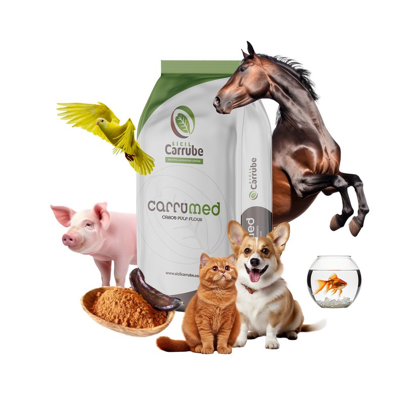 Wholesale Animal Feed 100% Natural Carob Flour Animal Consumption Extract Powder Gluten Free Zootechnical Use 1200kg*bag
