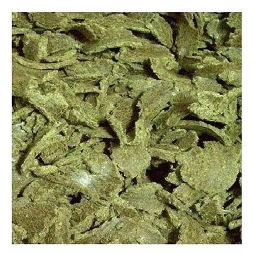 High Quality Cottonseed Oil Cake / Cotton seed Meal for animal feed