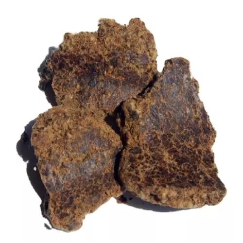 High Quality Cottonseed Oil Cake / Cotton seed Meal for animal feed