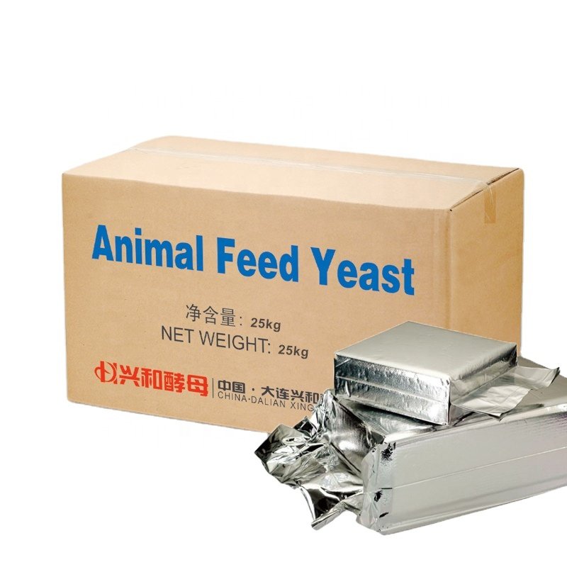 For Optimal Pig Feed Formulation, Choose Our Nutritious Feed Yeast, yeast feed, animal feed, yeast powder, feed yeast