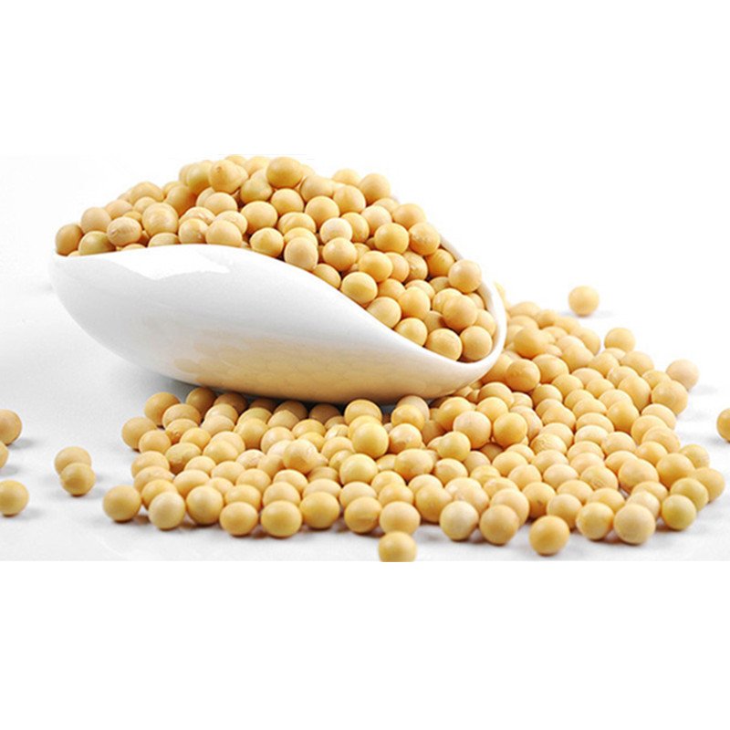 GMO and Non GMO Soyabean/Soybean for Sale Soy beans Soya Soya Bean grain Common High Quality