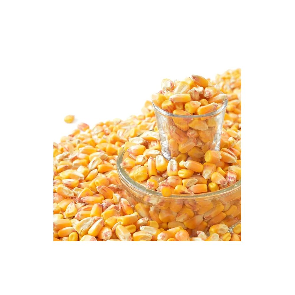 High Protein Yellow Corn/Maize for Poultry and Pig Feed Healthy Animal Feed from Farm Good Price