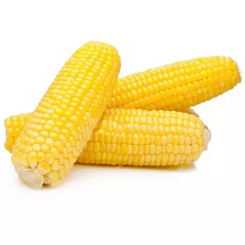 High Protein Yellow Corn/Maize for Poultry and Pig Feed Healthy Animal Feed from Farm Good Price