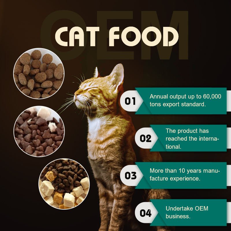 FDA OEM ODM Pet Food Grain Free Grain Free Various Shapes Dry Food For Cat