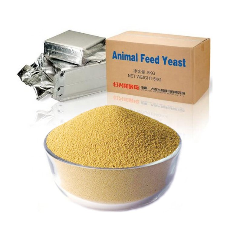 For Resilient and Vibrant Animals Feed Yeast, Select Our Quality Aquaculture Nutrition Dry Feed Yeast, dry yeast for animal feed