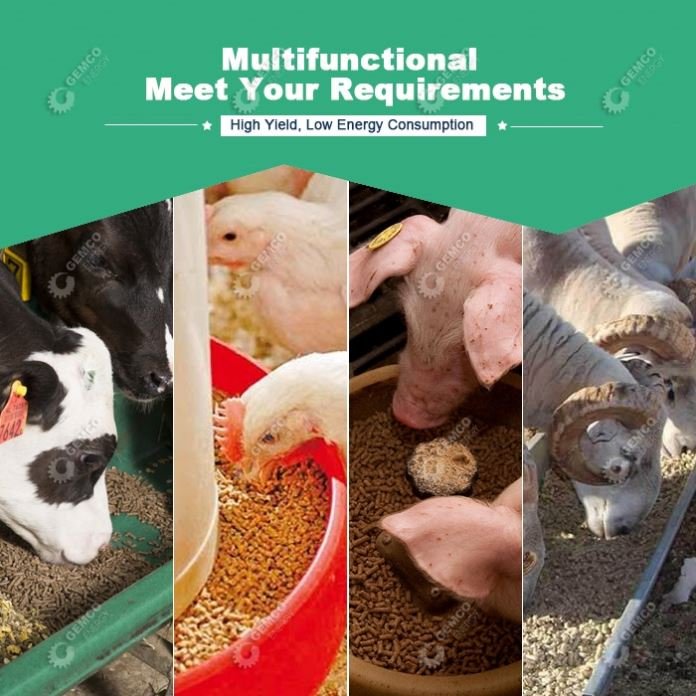 Cheap Flat Die Diesel/Electric/Pto Small Poultry Animal Feed Mill for Making/Processing Chicken,Cow,Pig,Livestock,Dairy,Rabbit
