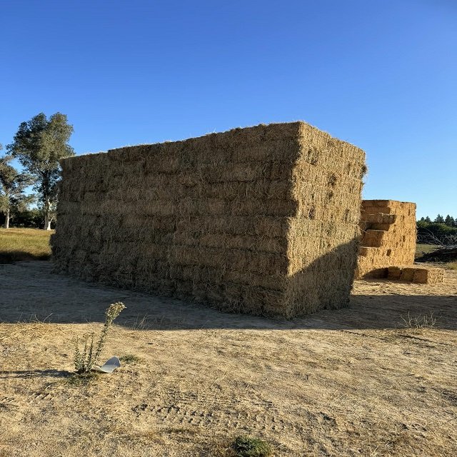 Alfalfa Hay Timothy Alfafa Hay Rhodes Hay-Dried Animal Feed for Cattle Horse Pig Fish Pellet Variety for Animal Use
