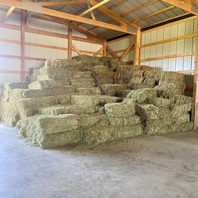 Alfalfa Hay Timothy Alfafa Hay Rhodes Hay-Dried Animal Feed for Cattle Horse Pig Fish Pellet Variety for Animal Use
