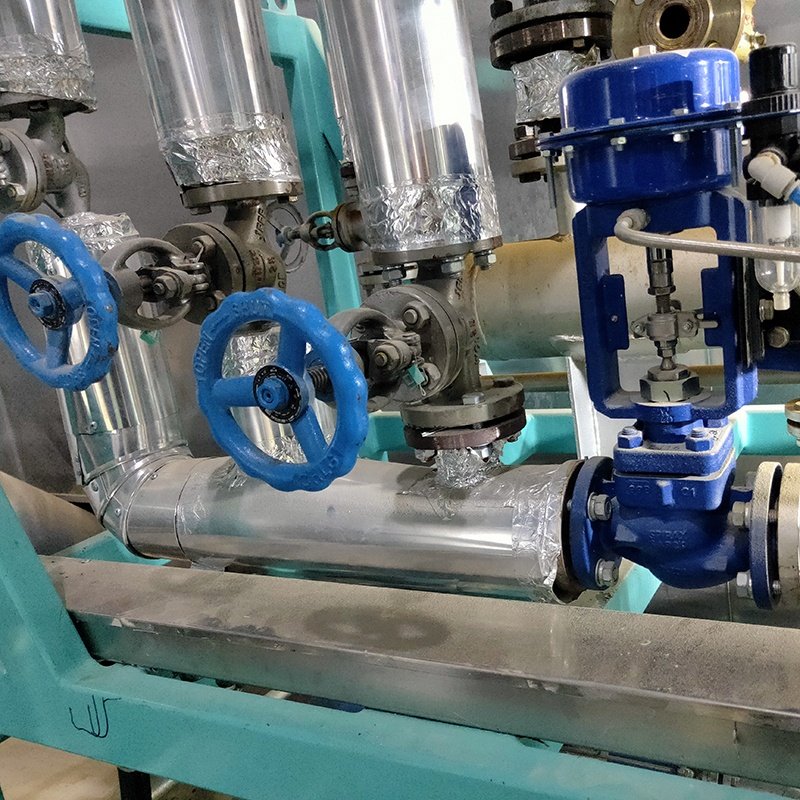 Best Quality Sea flaky/particle shape Animal Food machine sinking abalone Fish feed Extruder