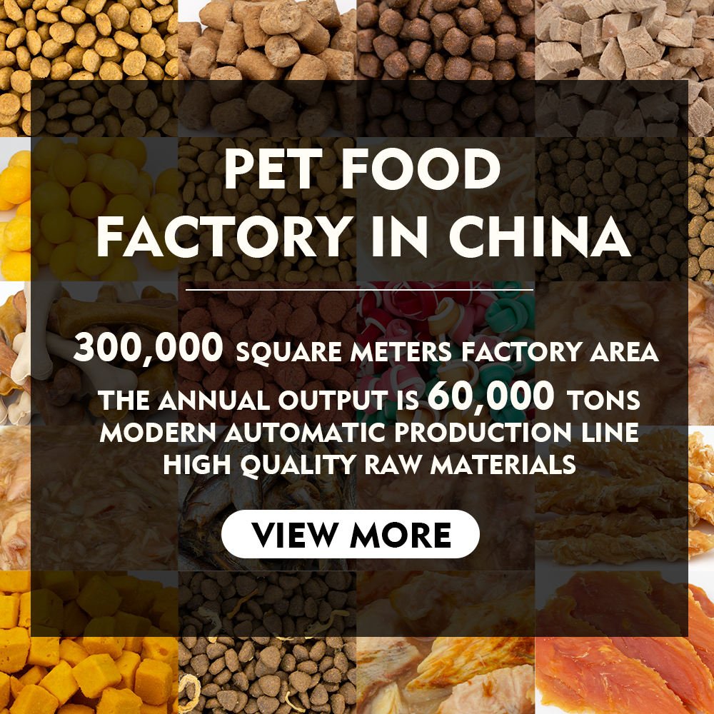 OEM ODM Factory Wholesale High Quality 100% Natural Chicken Formula Dry Pet Cat Food