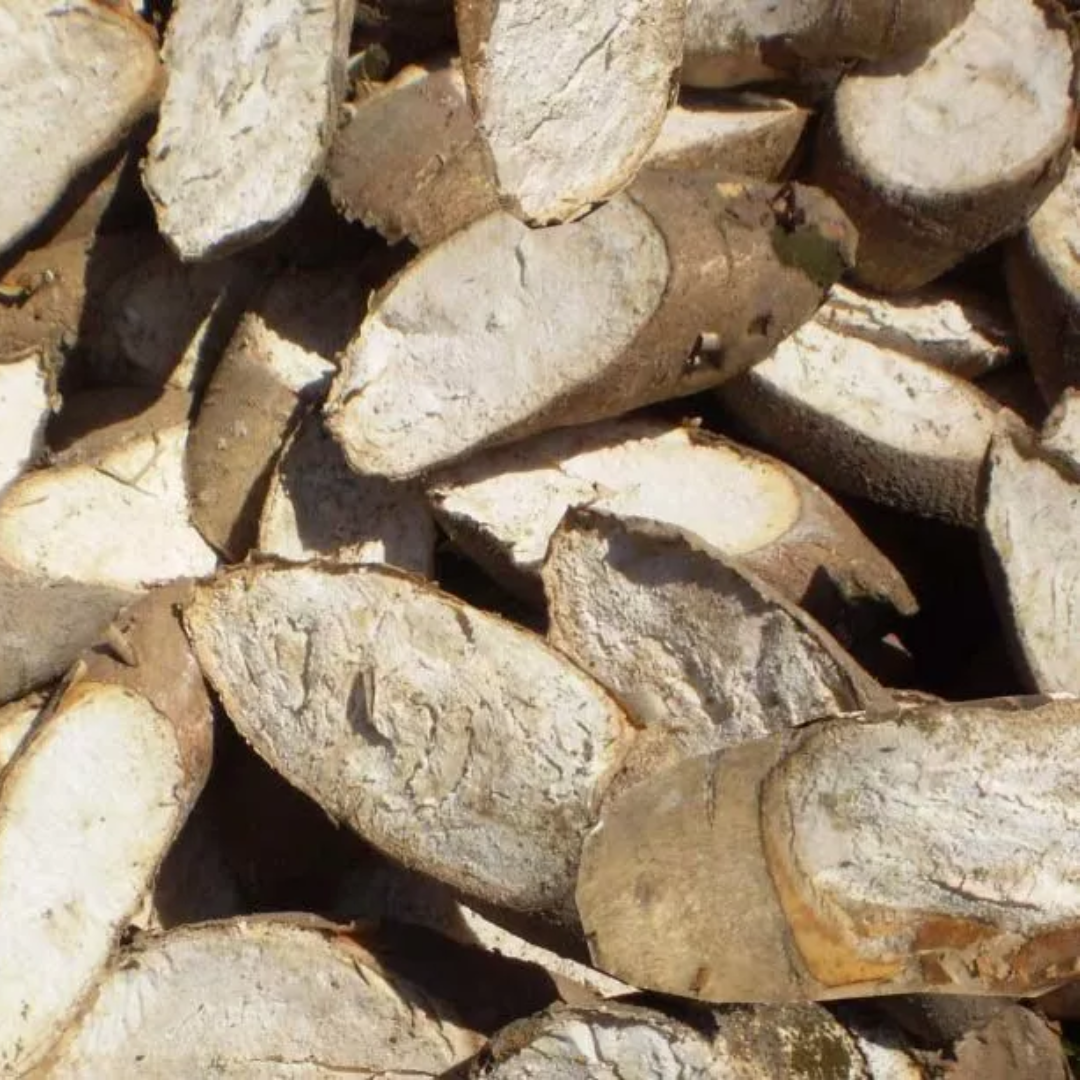 Vietnamese Factory Supply Dried Cassava Chips For Animal Feed Packed In Jumbo Bag CheapPrice