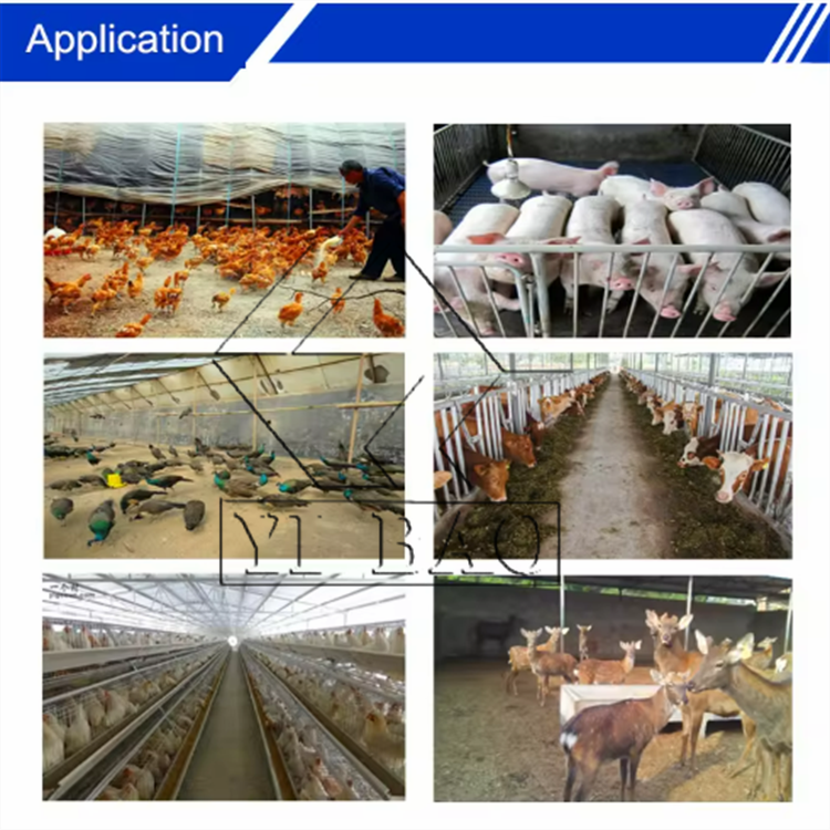 Best selling save energy farms use dog and cat food pet small fish extruder machine animal feed pellet machine