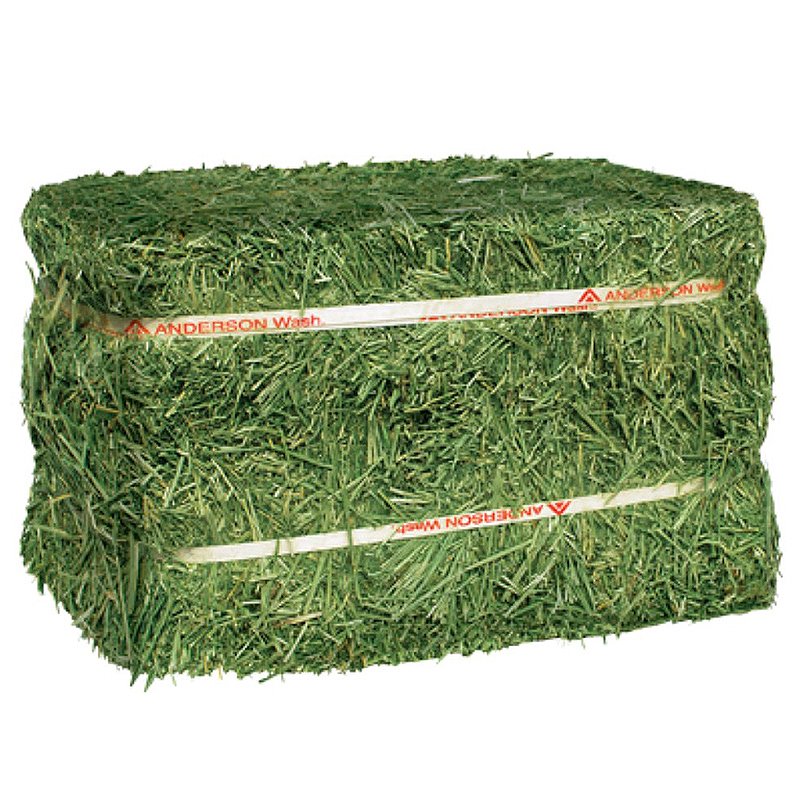 100% Premium Alfalfa Hay, Rhodes Grass, Oats Hay Ready / Oats Hay Animal Feed for Sale