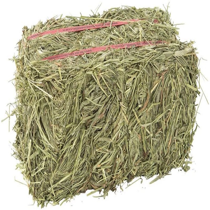 100% Premium Alfalfa Hay, Rhodes Grass, Oats Hay Ready / Oats Hay Animal Feed for Sale