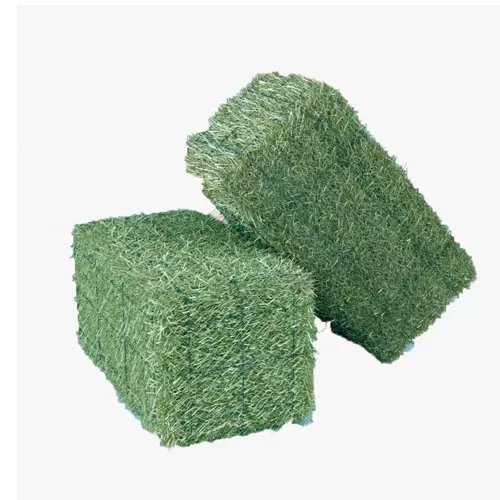 100% Premium Alfalfa Hay, Rhodes Grass, Oats Hay Ready / Oats Hay Animal Feed for Sale