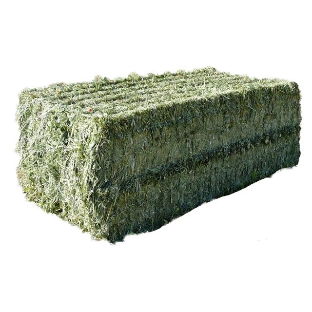 100% Premium Alfalfa Hay, Rhodes Grass, Oats Hay Ready / Oats Hay Animal Feed for Sale