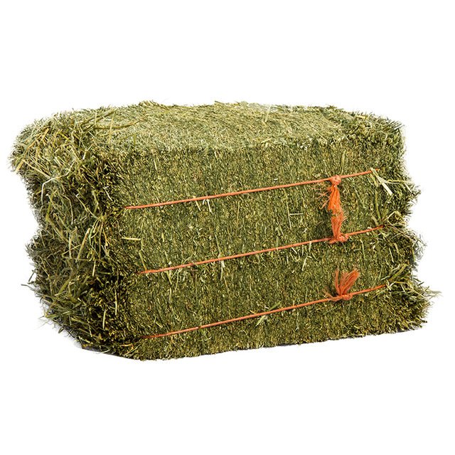 100% Premium Alfalfa Hay, Rhodes Grass, Oats Hay Ready / Oats Hay Animal Feed for Sale