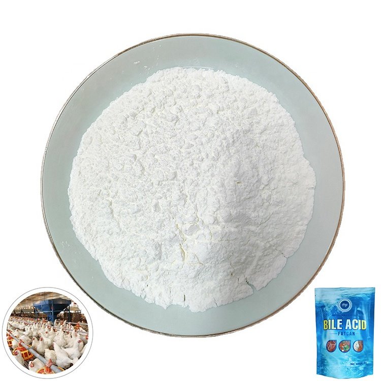 Wholesale 30% bile acid for layer and broiler Promoting growth broiler feed additives animal feed addit bile acid
