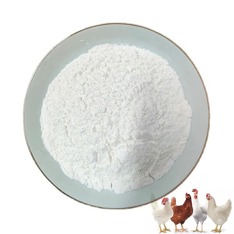 Wholesale 30% bile acid for layer and broiler Promoting growth broiler feed additives animal feed addit bile acid