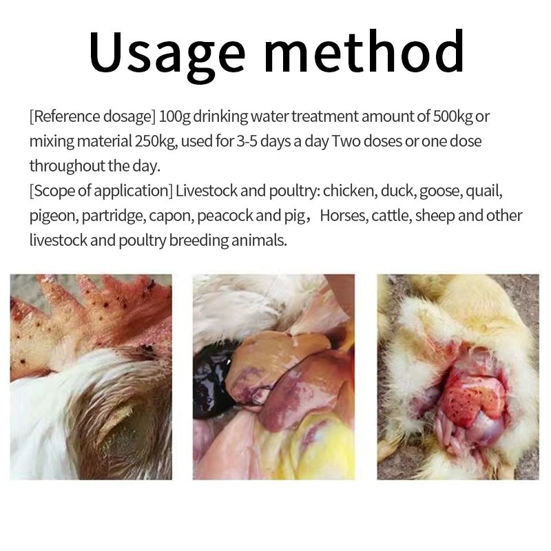 animal health products promote probiotics Feed Additives Protect liver and kidney function cattle bovine cow sheep goat horse