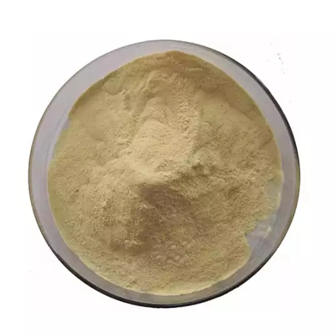 Active Dry Yeast for Animal Feed Additive