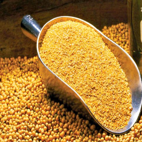 High Protein 46% Soya bean meal for animal feed