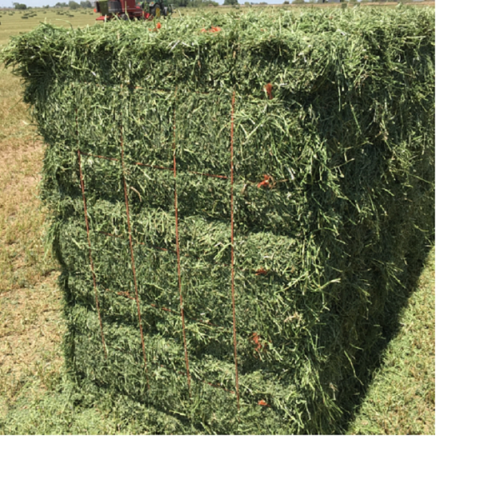 100% Premium Alfalfa Hay, Rhodes Grass, Oats Hay Ready / Oats Hay Animal Feed for Sale