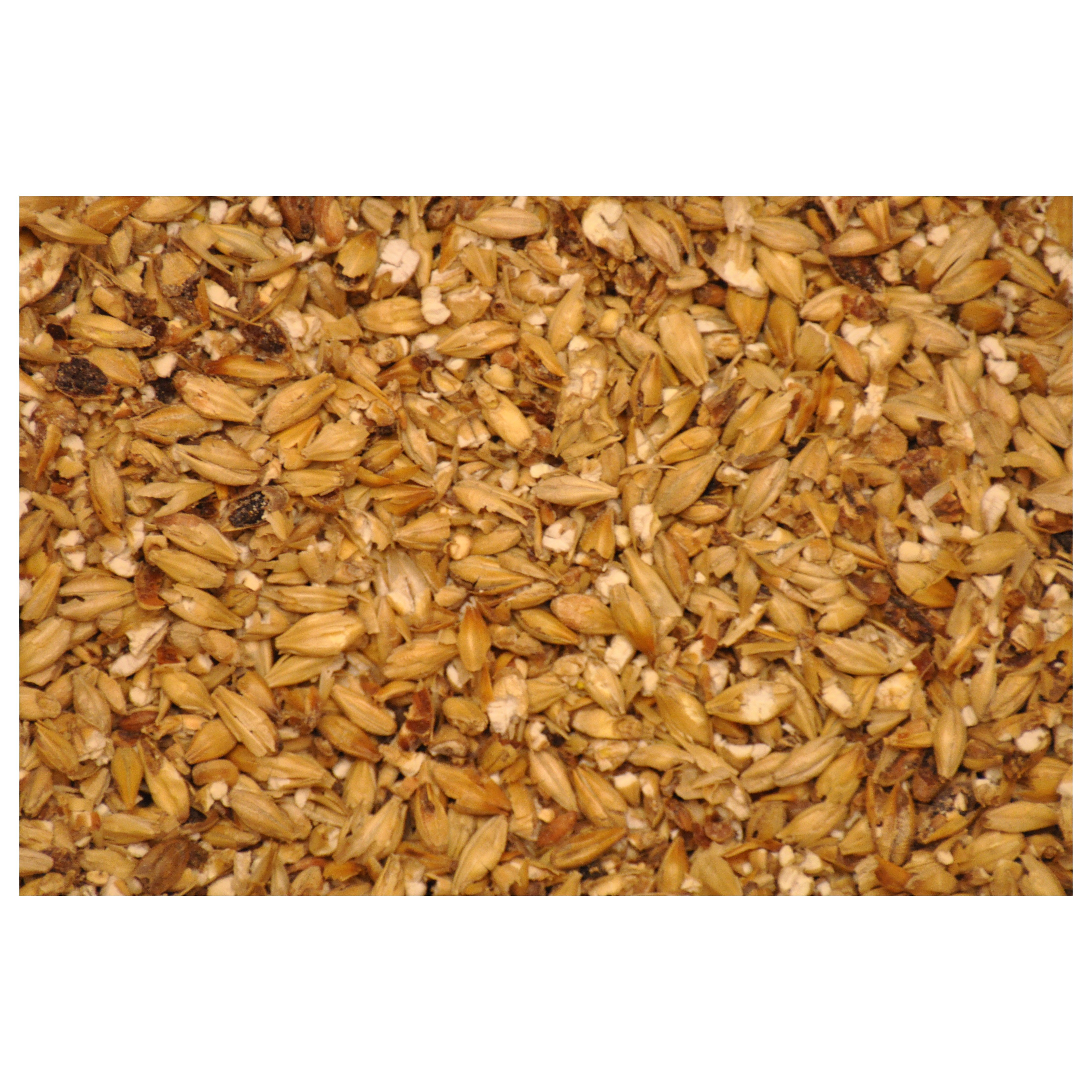 Barley Grains Premium Barley Seeds/Animal feed barley/bulk barley grains Malted Barley Malt grain for sale Top Grade For Sale