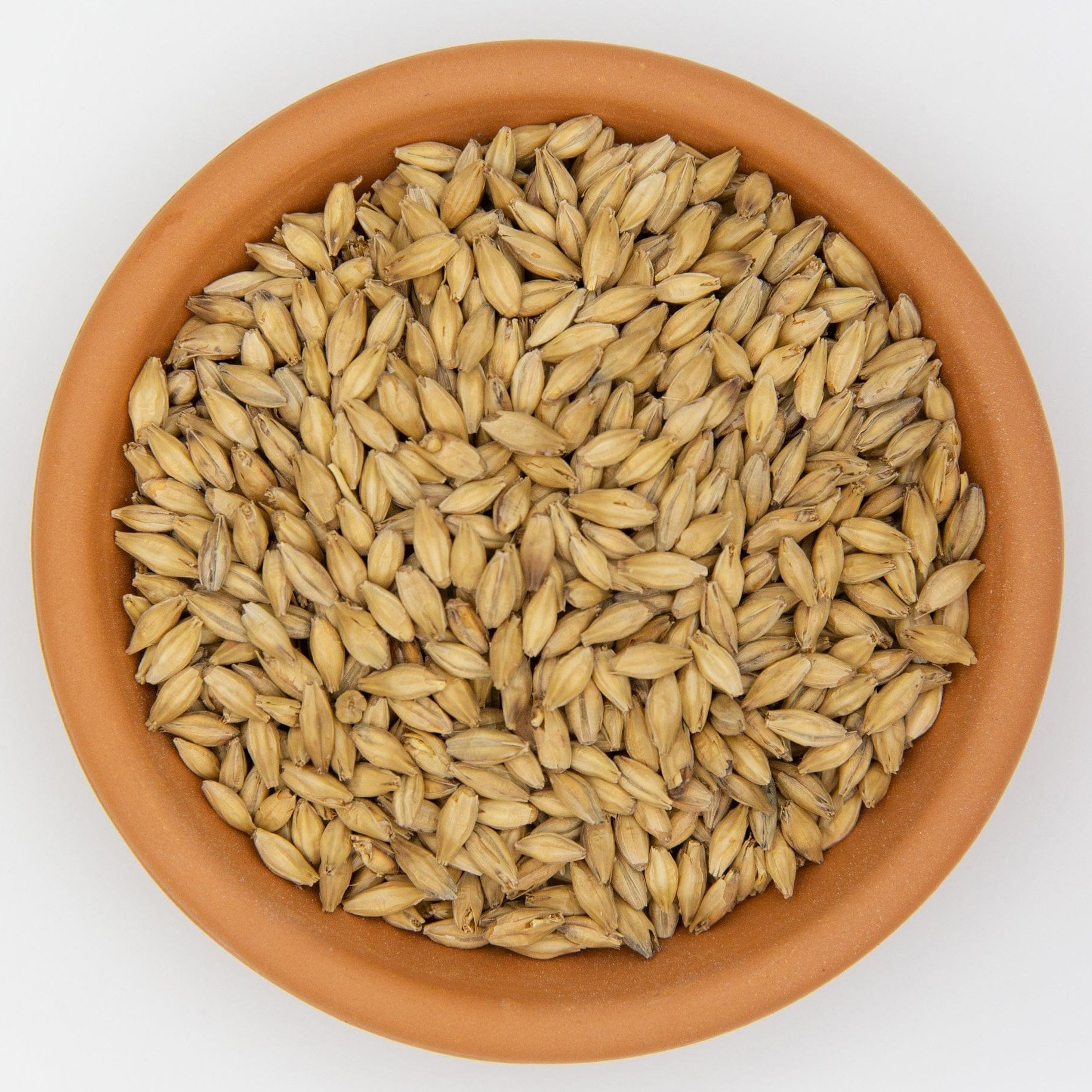 Barley Grains Premium Barley Seeds/Animal feed barley/bulk barley grains Malted Barley Malt grain for sale Top Grade For Sale
