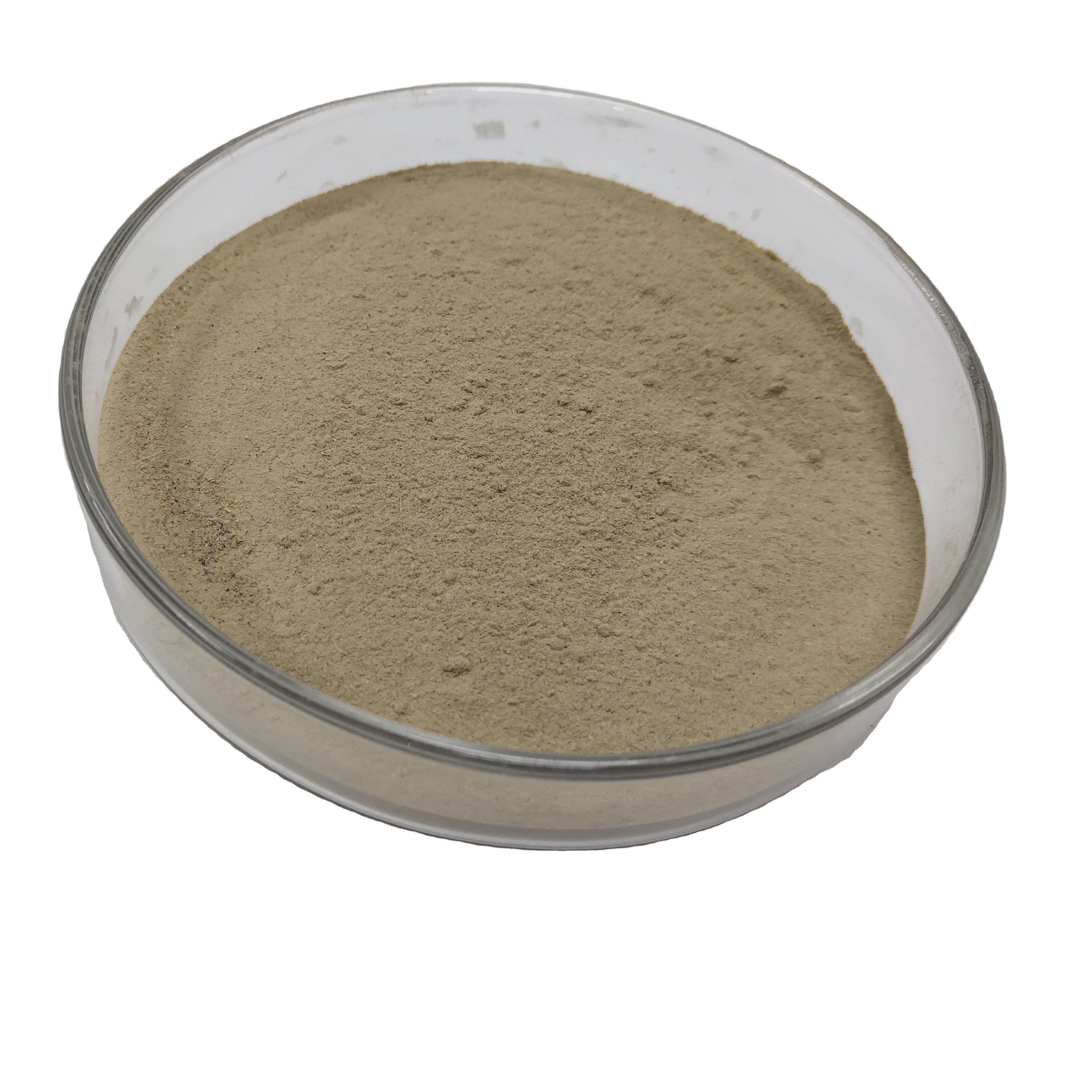 New product a multifunction postbiotics AFEPOST-MULTI