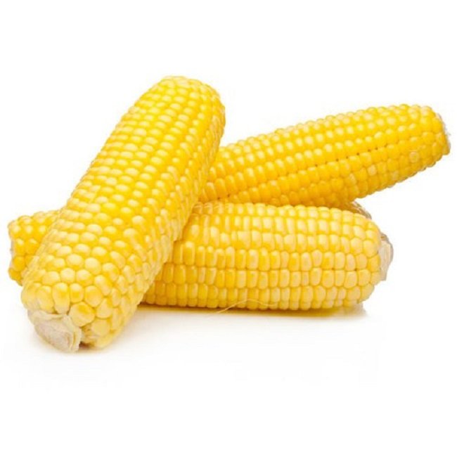 Yellow Corn and White Corn/ Yellow Maize for Animal Feed or Human consumption FOR SALE