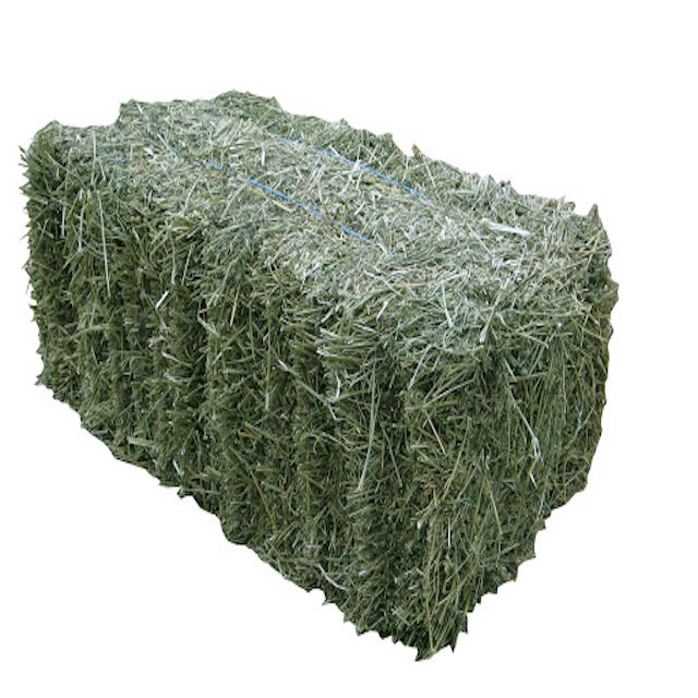 Best grade Quality Alfalfa Hay for Animal Feeding Stuff Alfalfa / Alfalfa Hay / Alfalfa Hay wholesale price
