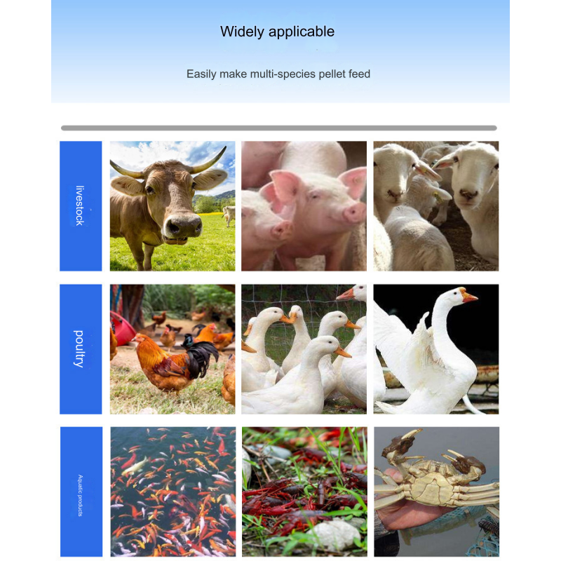 Jade Small flat die animal feed pellet machine for rice/straw/alfalfa/wheat/grass/oilseed cake