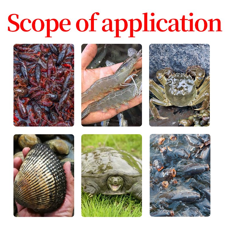 Wholesale Price Aquatic Feed Additives tilapia aquaculture fish premix shrimp feed vitamins